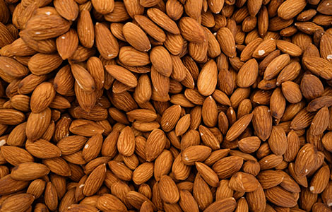 wholesale almond distributor