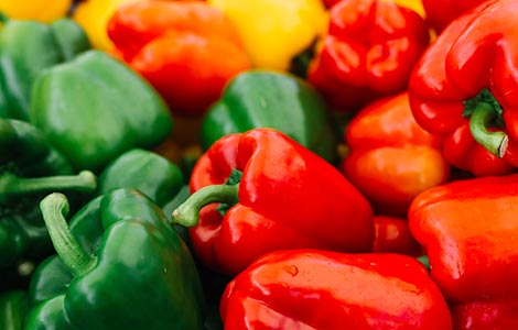 wholesale bell pepper distributor