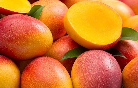 wholesale mango distributor