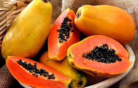wholesale papaya distributor