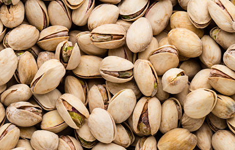 wholesale pistachio distributor