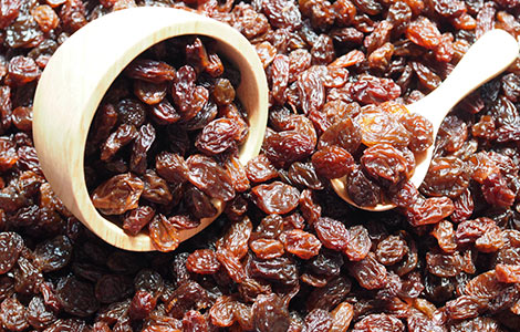 wholesale raisin distributor