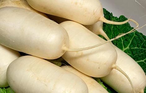 wholesale turnip distributor