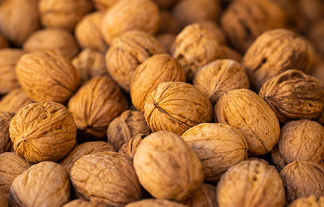 wholesale walnut distributor