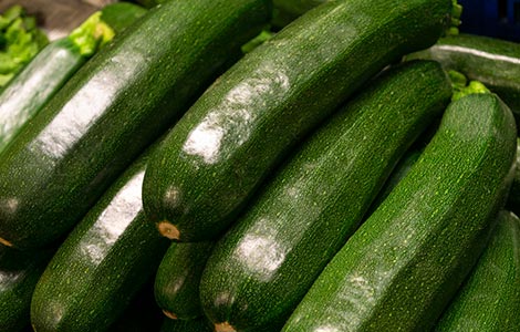 wholesale zucchini distributor